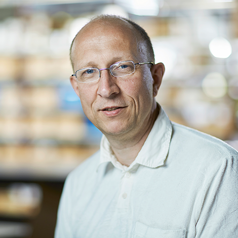 Trygve Kristoffersen