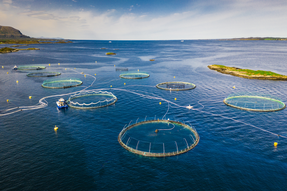 Fiskeoppdrett i Norge
